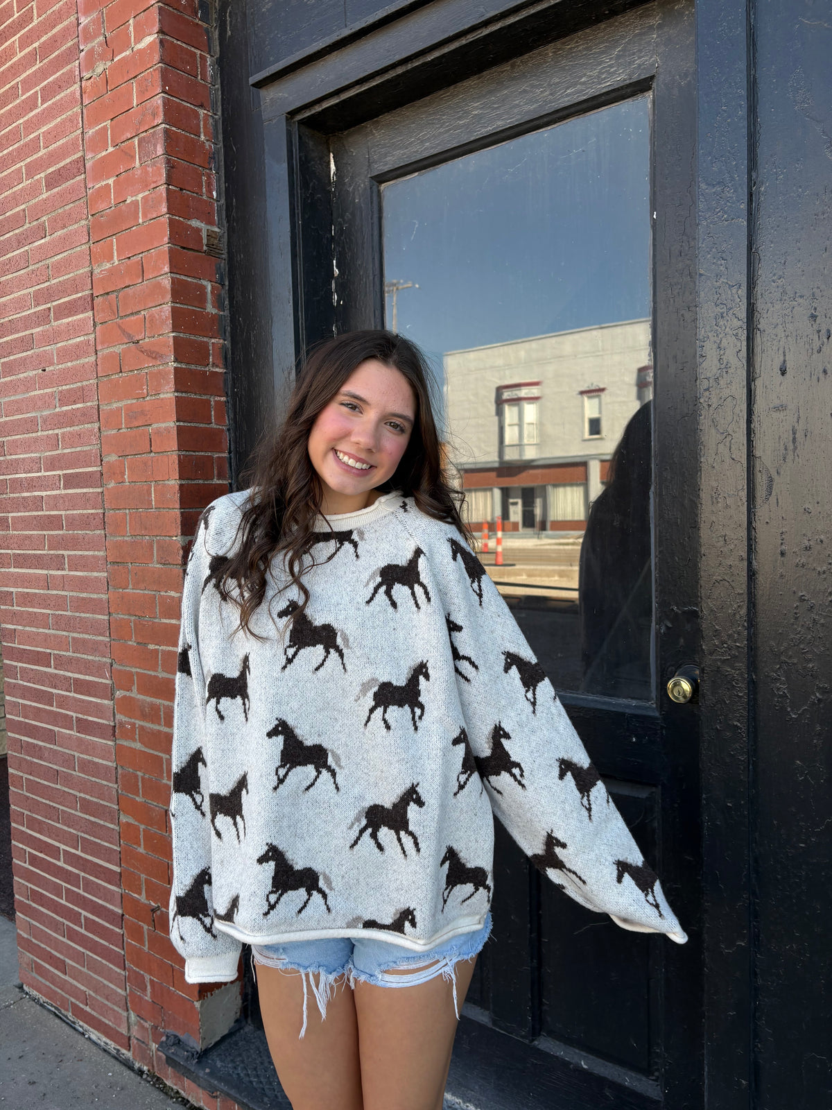 Horse Sweater