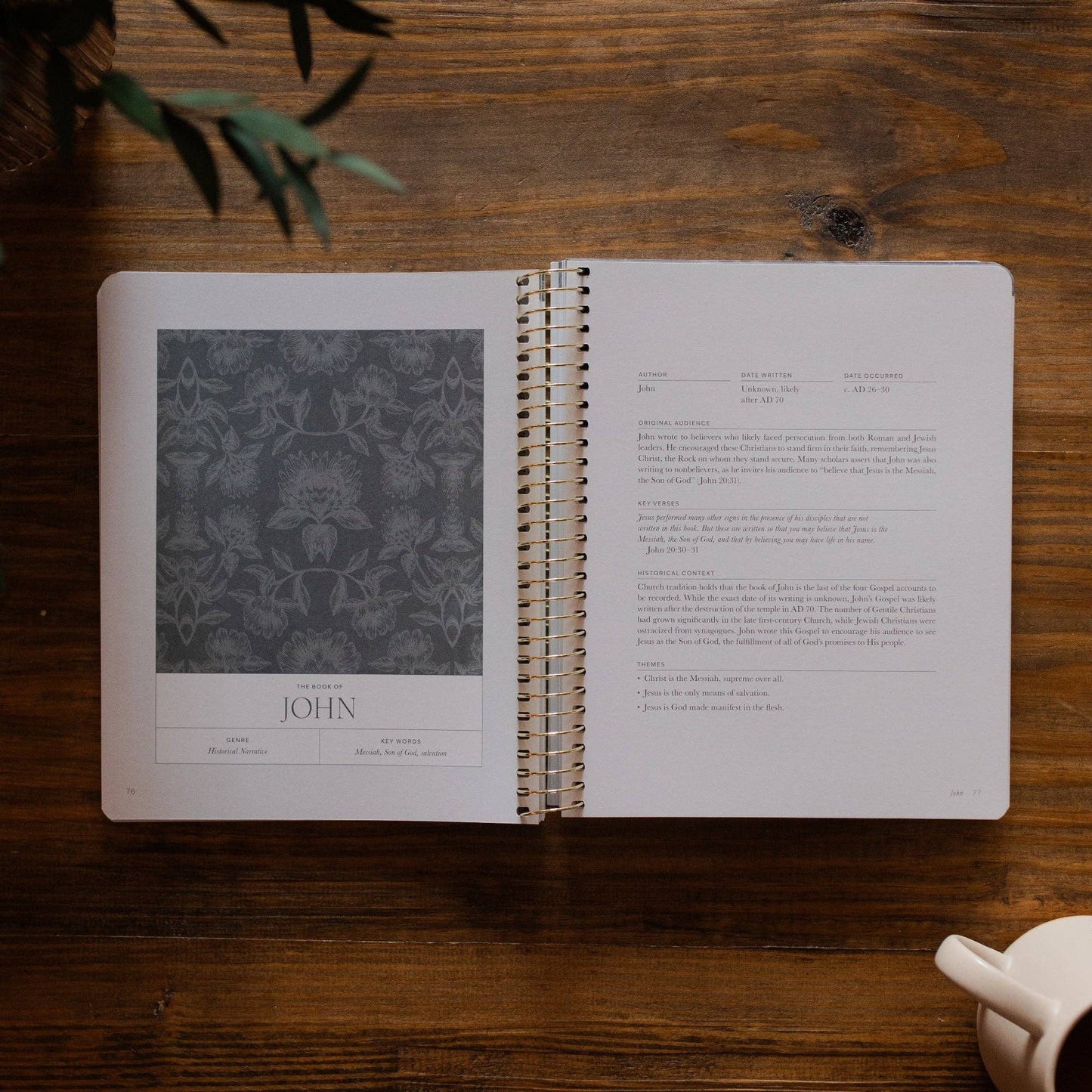 A Year in the Bible Vol. 4