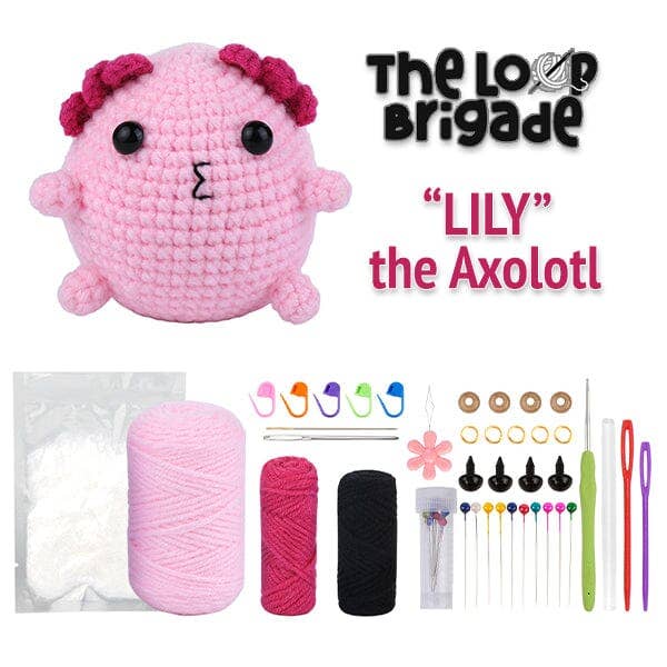 Mini Crochet Kit - Lily the Axolotl