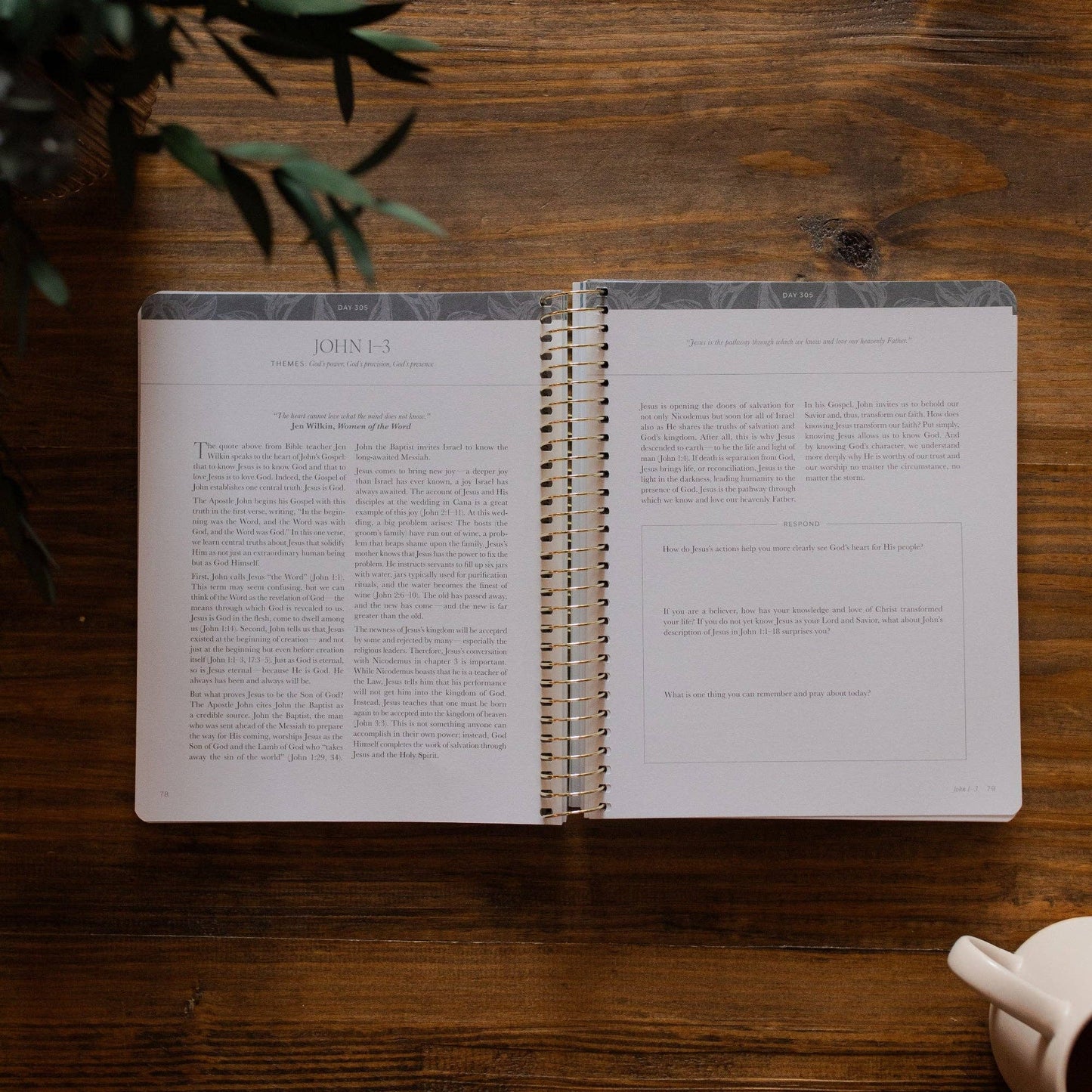 A Year in the Bible Vol. 4