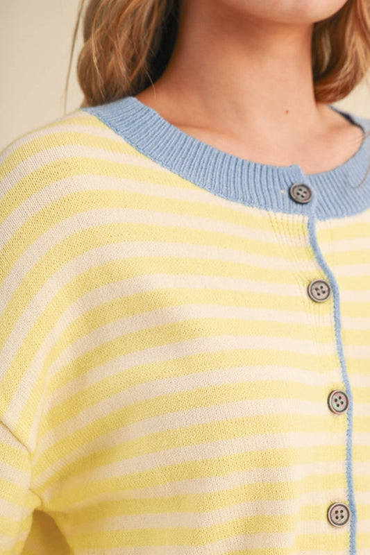 Blueberry Lemon Sweater
