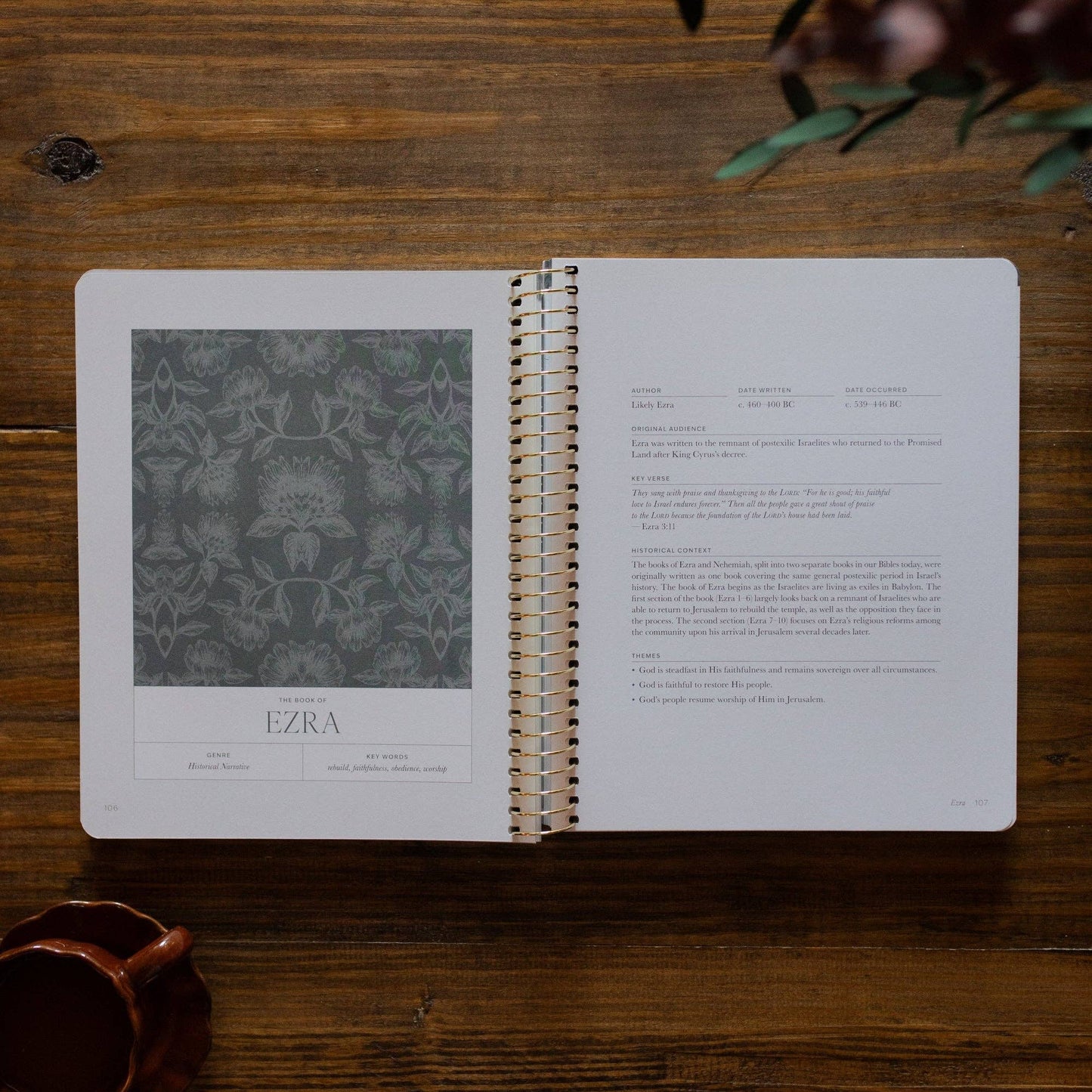 A Year in the Bible Vol.2