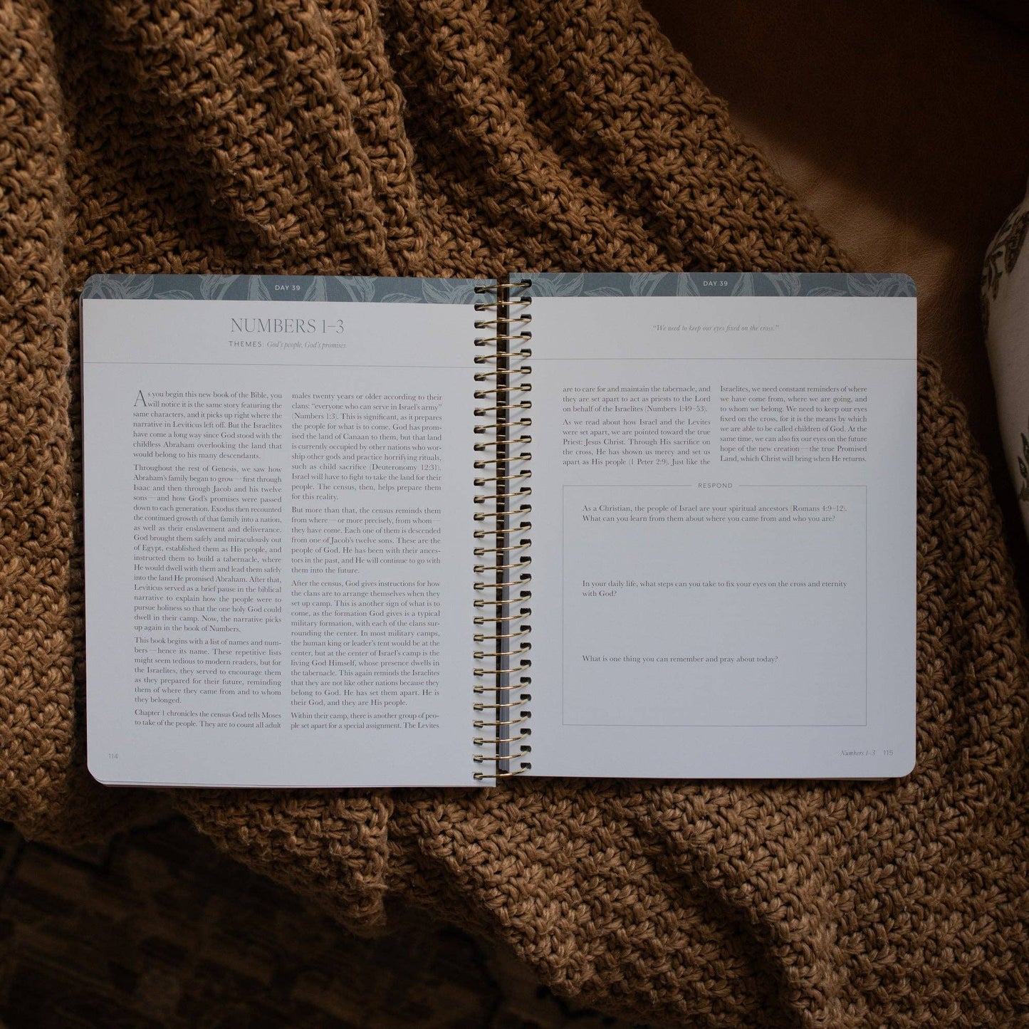 A Year in the Bible Vol. 1