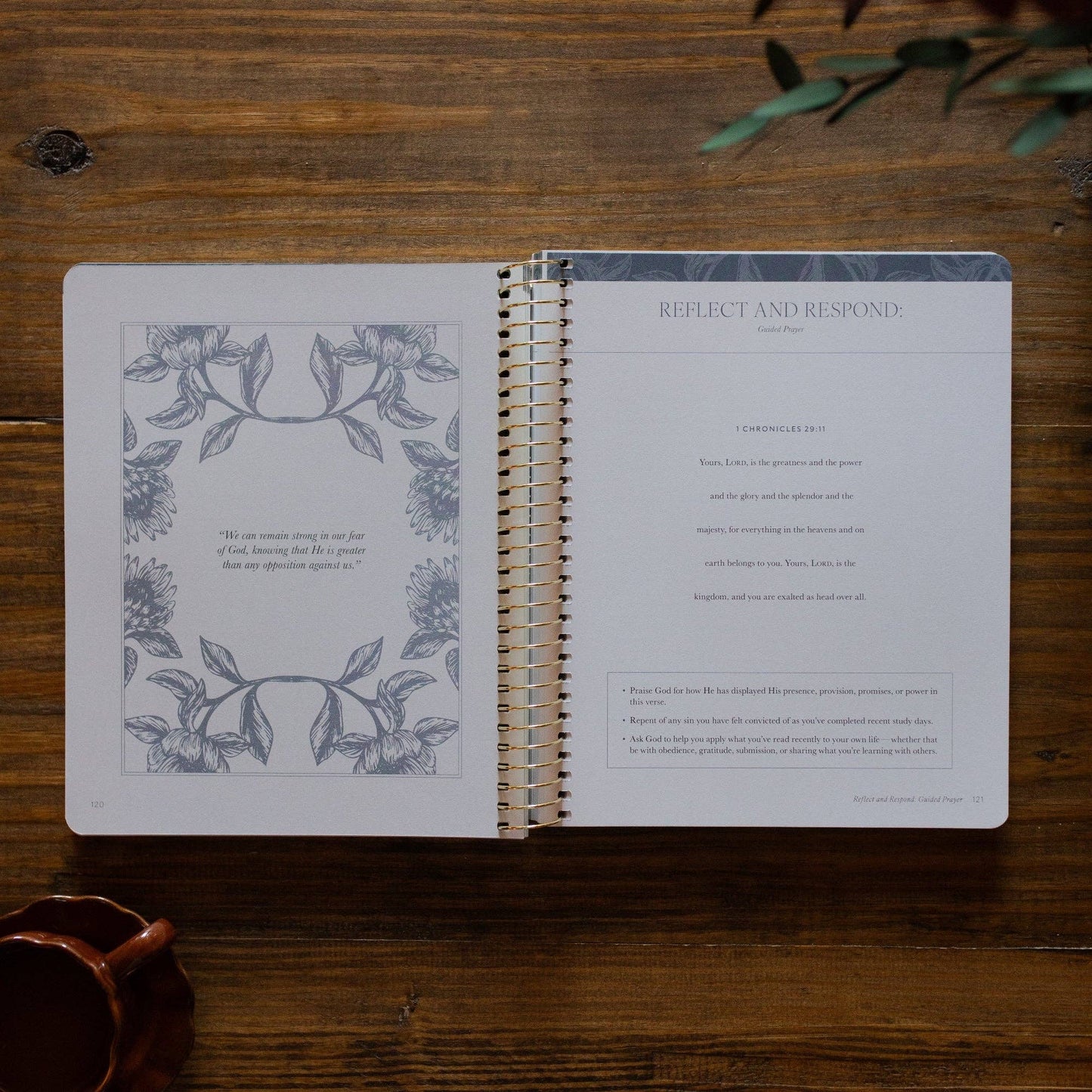 A Year in the Bible Vol.2