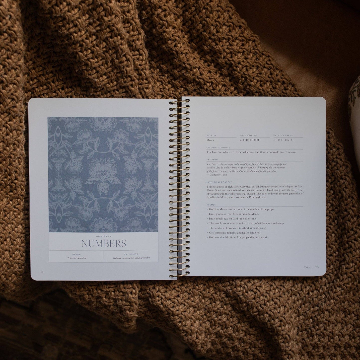 A Year in the Bible Vol. 1