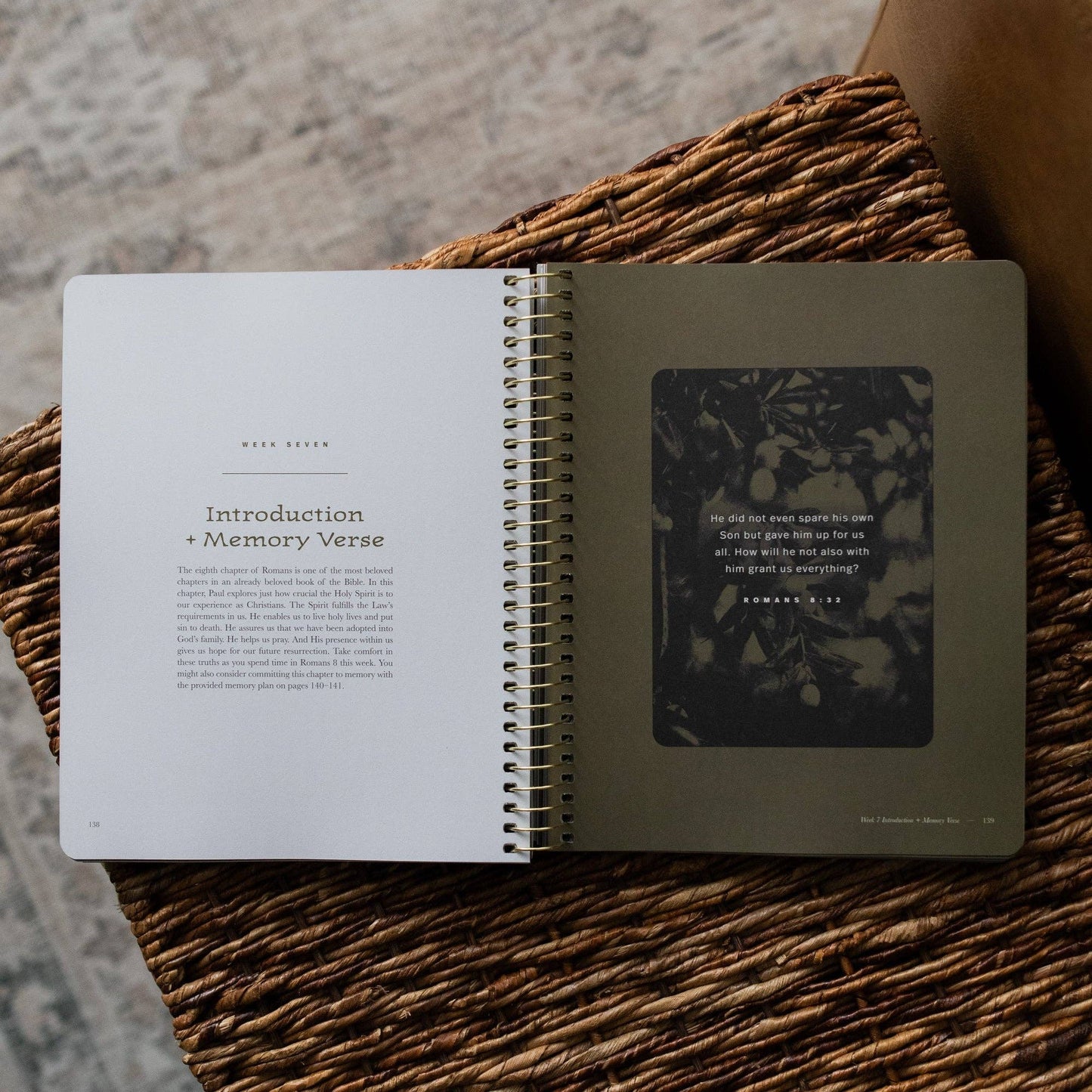 In Christ Alone: Romans - Men's