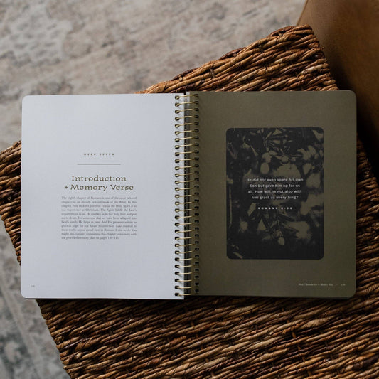 In Christ Alone: Romans - Men's