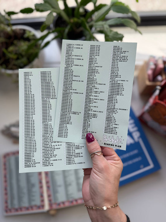 365-Day Bible Reading Plan
