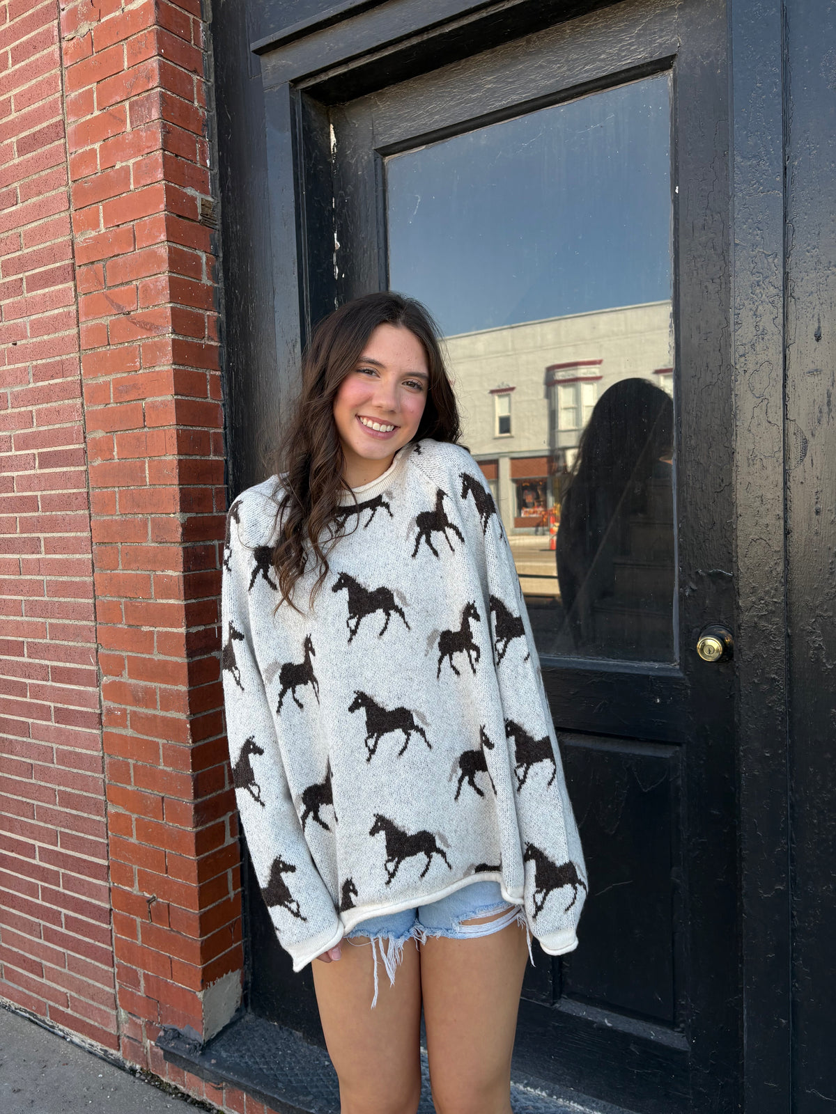 Horse Sweater