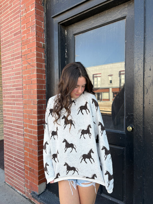 Horse Sweater