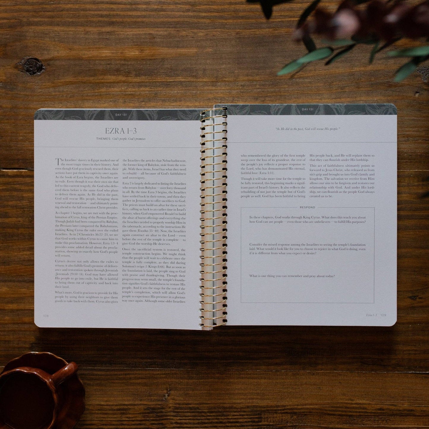 A Year in the Bible Vol.2