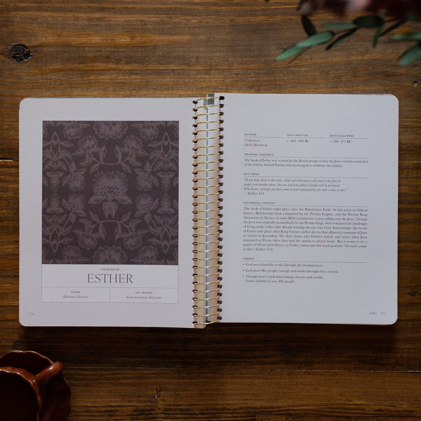 A Year in the Bible Vol.2