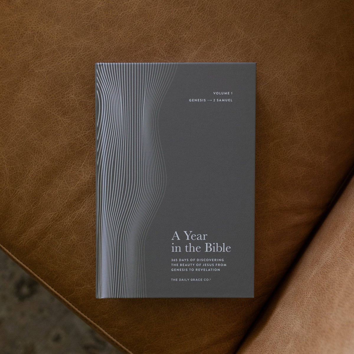 A Year in the Bible | Men's Devotional